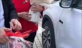 奔驰奇瑞事件最新爆料,揭秘背后真相与利益纠葛