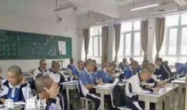 镇宁职校爆料事件最新情况,最新进展及影响揭秘